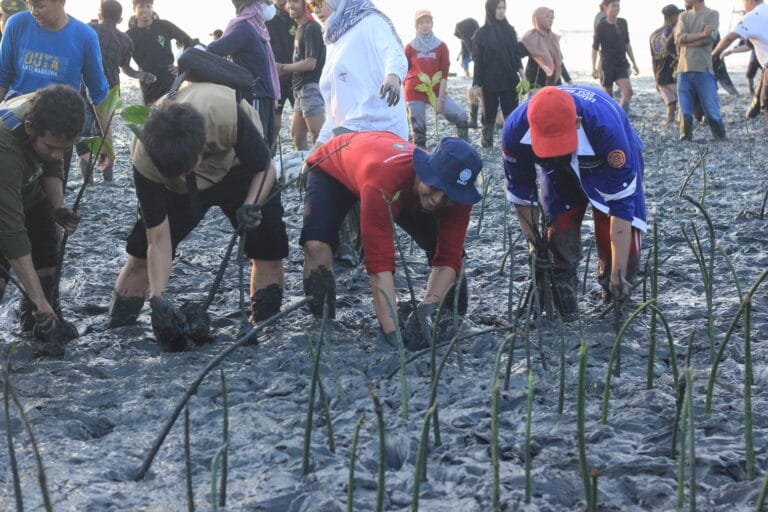 2000 Bibit Mangrove: Langkah Muda Jaga Iklim di Maros